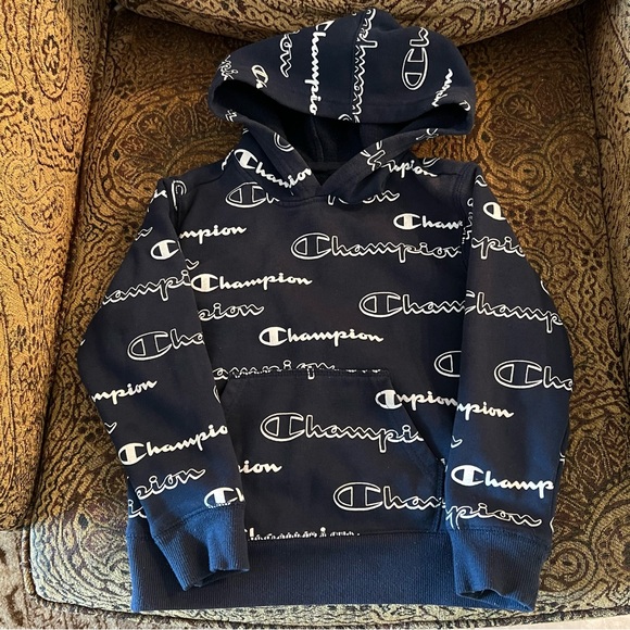 Champion Pullover Hoodie Sweatshirt - Picture 1 of 3